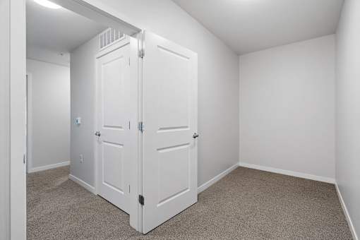 a bedroom with two closets and a carpeted floor