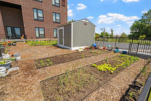 a garden in front of a brick building with a shed