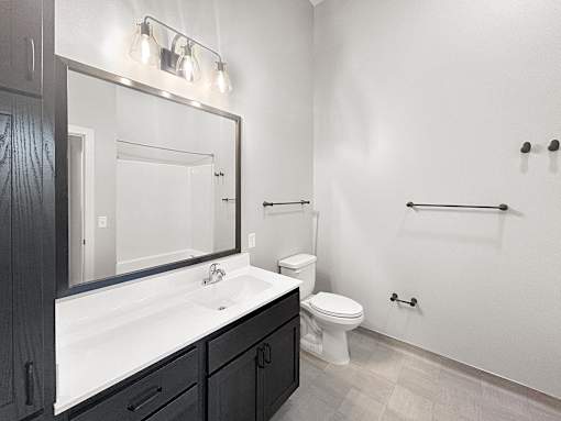 a bathroom with a sink and a toilet and a mirror