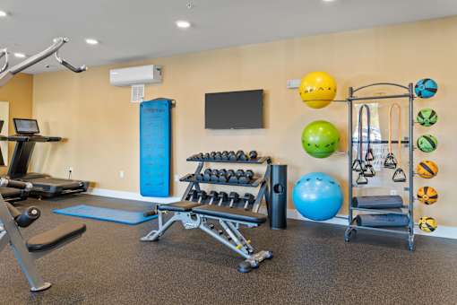 A gym with a variety of equipment including weights, a treadmill, and a rowing machine.
