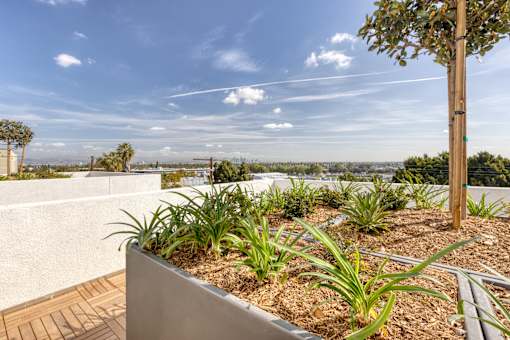 Rooftop garden with great views