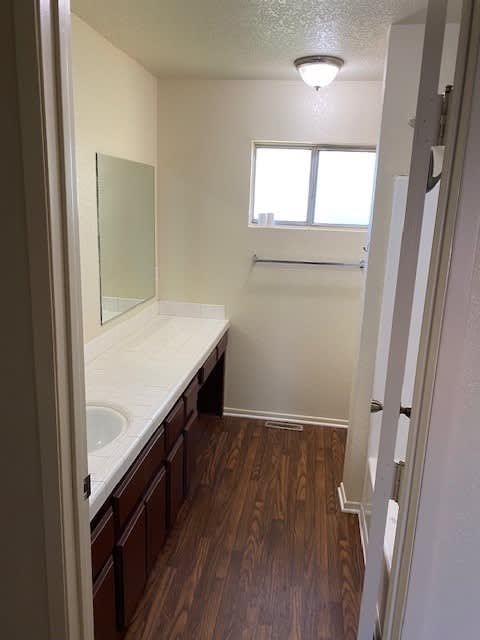 a bathroom with a sink and a mirror