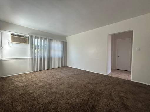 A room with a brown carpet and a window with blinds.