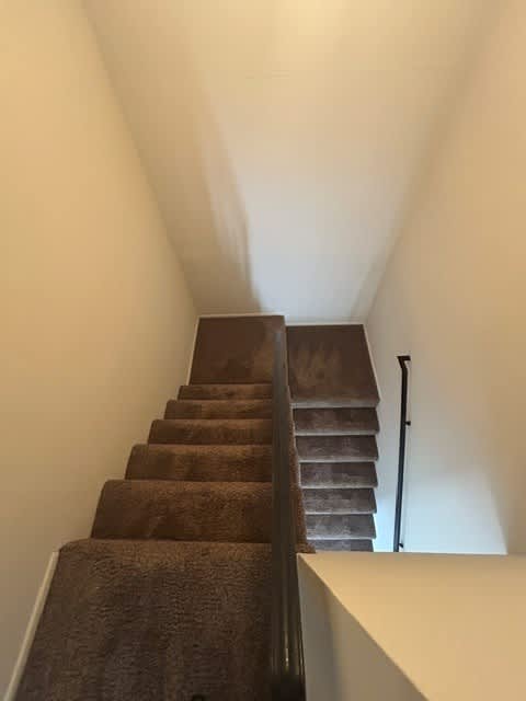 A staircase with a carpeted runner and a black handrail.