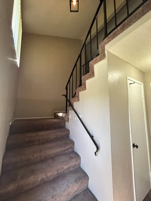 A staircase with a carpeted runner and a black handrail.