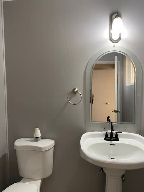 a bathroom with a sink and a mirror and a toilet