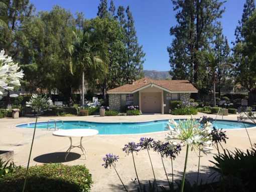 Community pool