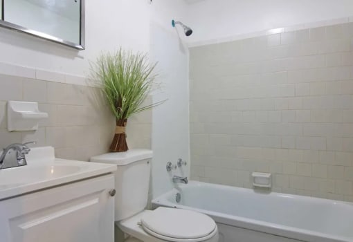 GSJ - Bathroom Golden Shores of Jacksonville Jacksonville, FL, 32211