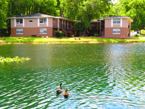 Lake view at Golden Shores of Jacksonville Jacksonville, FL, 32211