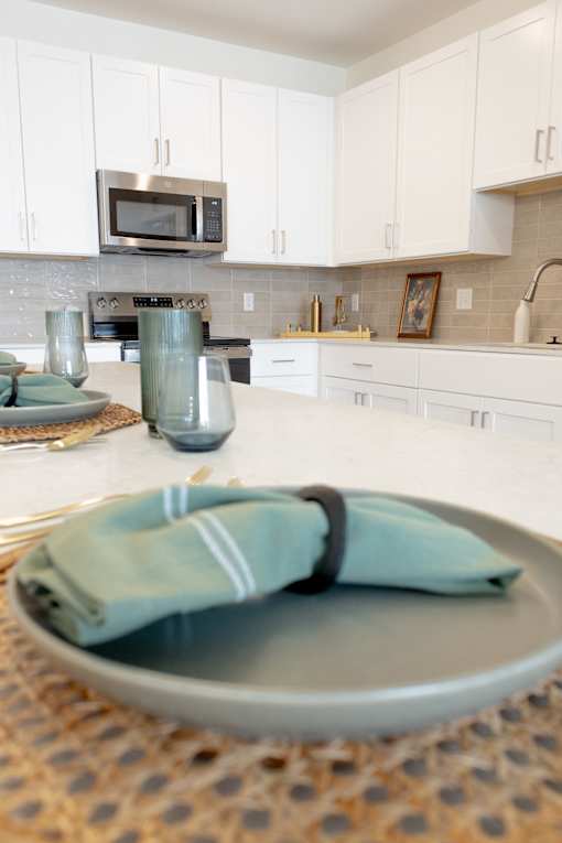 A kitchen with a plate on the counter.