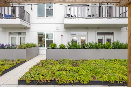 A white building with a green planter in front at Current812, Clarksville