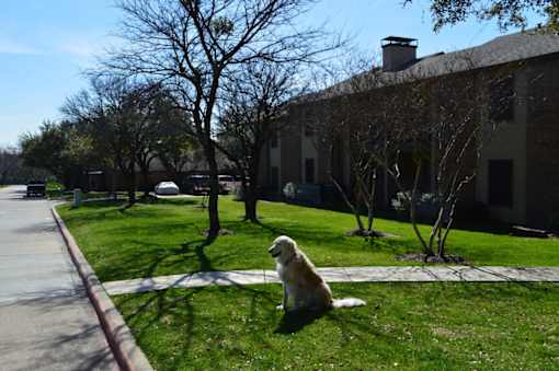 Walk path at Overton Park Apartments, Dallas, TX, 75216