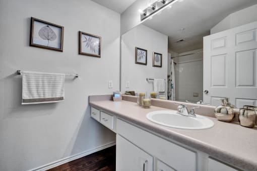 a bathroom with a sink and a mirror