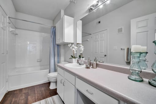 a bathroom with a sink and a shower and a toilet