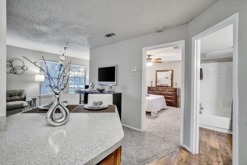 an open living room and kitchen with a view of a bedroom and a bathroom
