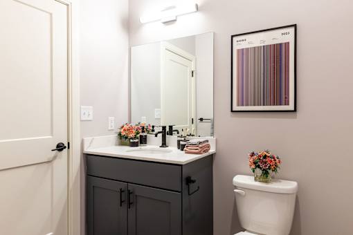 A bathroom with a white toilet and a sink with a mirror above it.