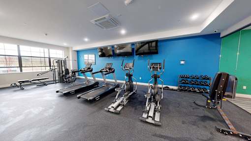 A gym with a variety of exercise equipment.