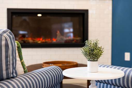 A cozy living room with a fireplace and a small potted plant on a table.