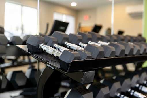 A rack of black dumbbells in a gym.