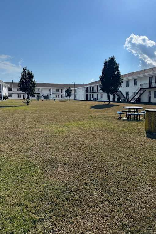 A grassy field with a picnic table and a tree in front of a white building.
