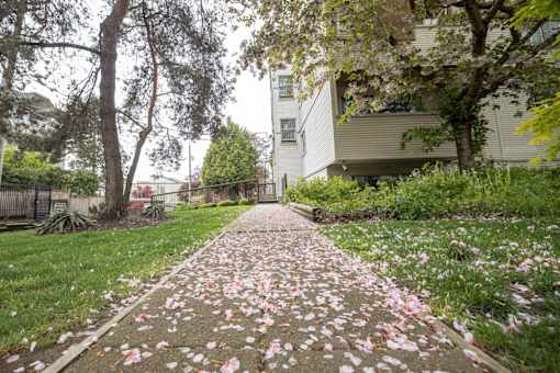 1925 Woodland Drive