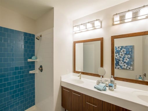 a bathroom with a sink and a shower and a mirror