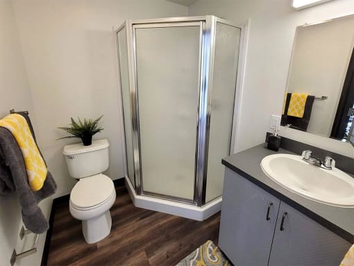 a bathroom with a shower toilet and sink