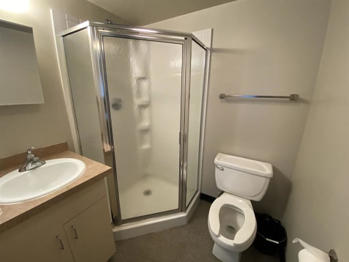 a bathroom with a shower and a toilet and a sink