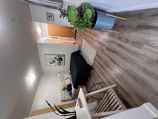 an overhead view of a living room with a potted plant