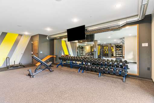 A gym with a mirror, weights, and cardio equipment.