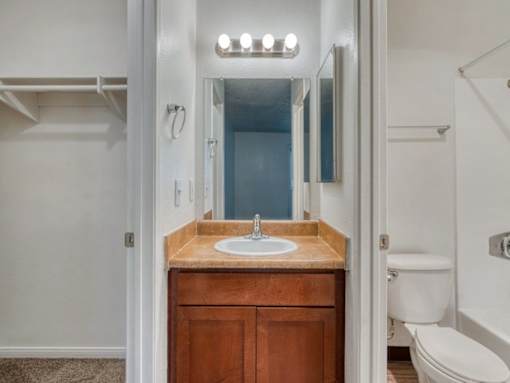 Bathroom and Closet at Peppertree