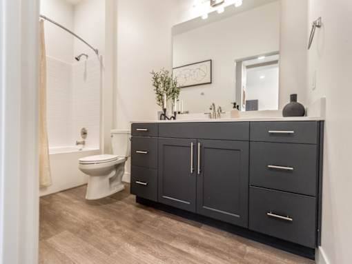 Bathroom with Dark Features at The Arza Apartments