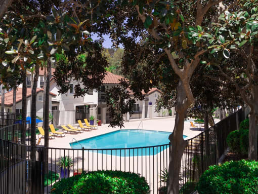 Blue Pool at Eucalyptus Grove Apartments California
