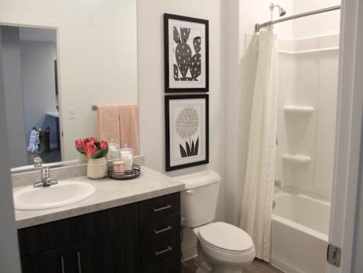 Bright Bathroom at Arcadia Apartments