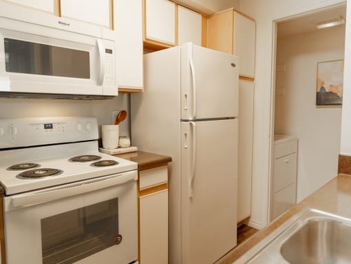 Kitchen Appliances at Remington Apartments