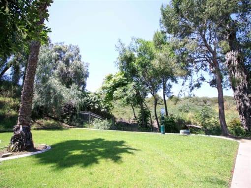 Green Spaces With Mature Trees at Creekside Villas Apartments, California, 92102