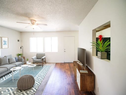 Classic Living Room Design With Television at Creekside Villas Apartments, California