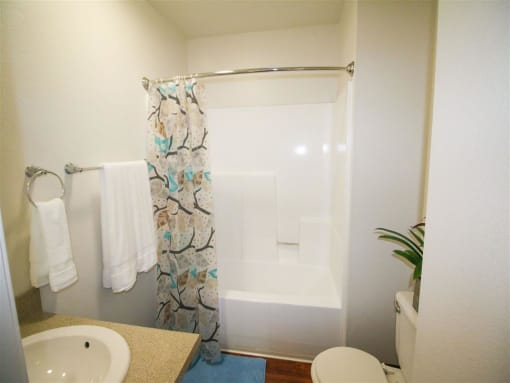 Garden-Tubs at Creekside Villas Apartments, San Diego, CA, 92102