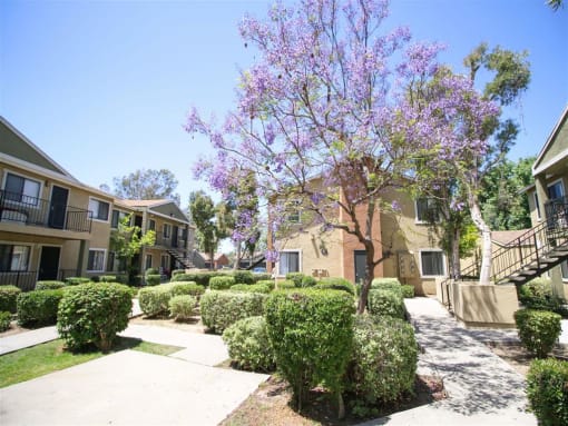 Courtyard Garden Space at Creekside Villas Apartments, San Diego, California