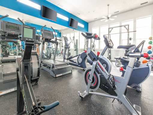 Cardio Equipment at San Tropez