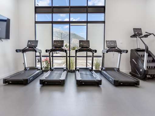 Cardio Equipment at The Arza Apartments