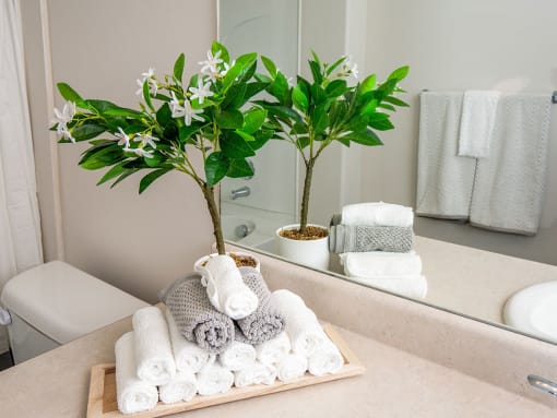 Bathroom Accessories at Four Seasons at Southtowne Apartments, South Jordan, Utah