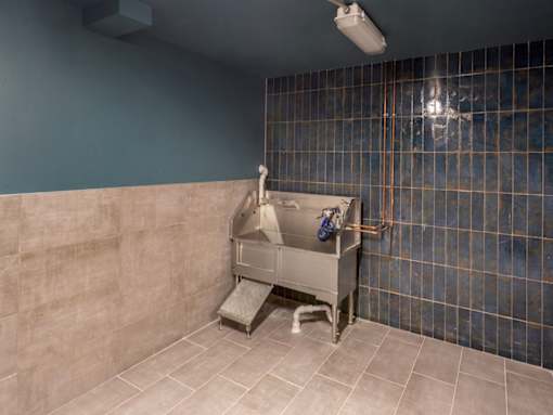 Dog Wash at Maye House Apartments