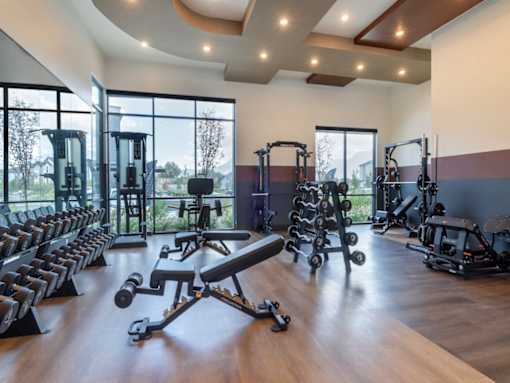 Free Weights and Machines in Gym at Amara