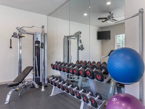Free Weights in Canyon Ridge