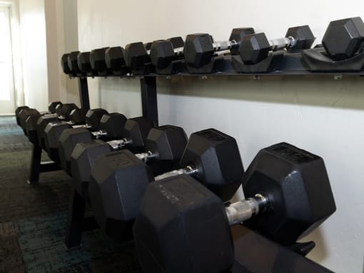 Free Weights in Gym at Crossroads