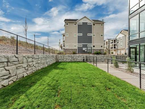A grassy yard with a stone wall and a black fence.