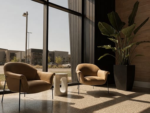 Two chairs and a plant are in front of a window.