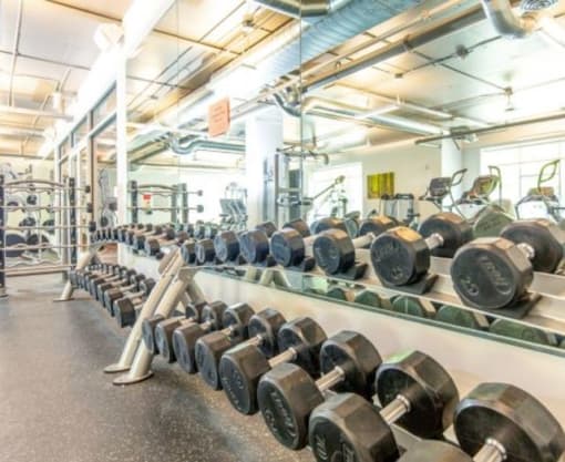 Free Weights In Gym at 600 Lofts Apartments, Salt Lake City, 84111