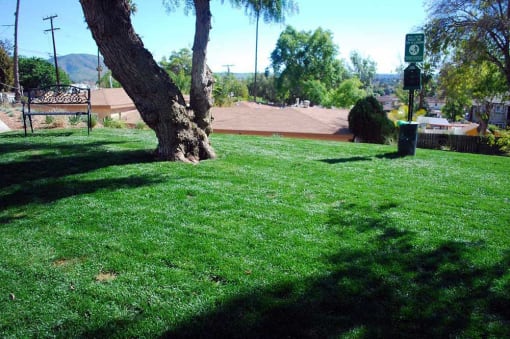 Peppertree Senior Apartments  Open Green Space - Spring Valley, CA 91977